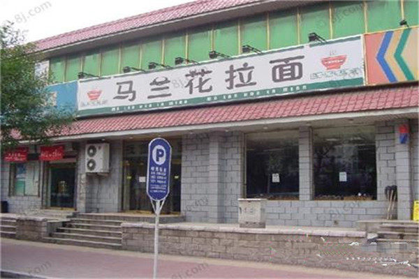 马兰花拉面