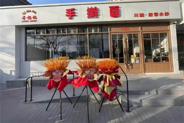 齐妈妈手擀面 齐妈妈手擀面