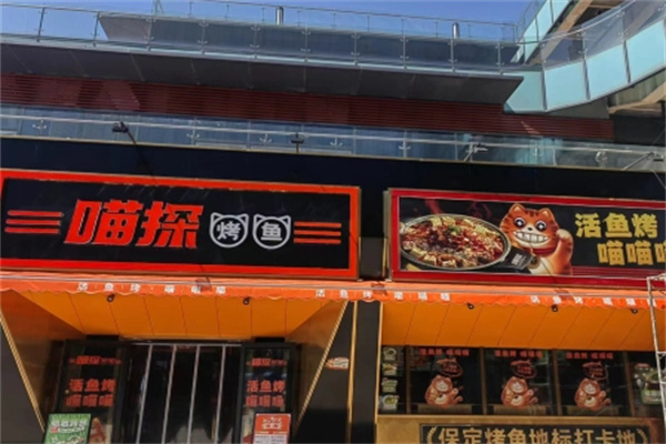 喵探豆花烤鱼