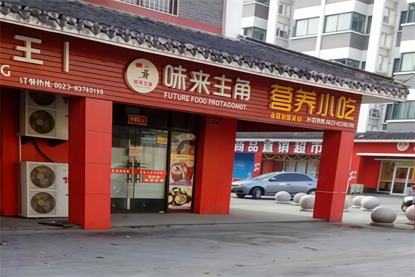 味来主角元气焖饭
