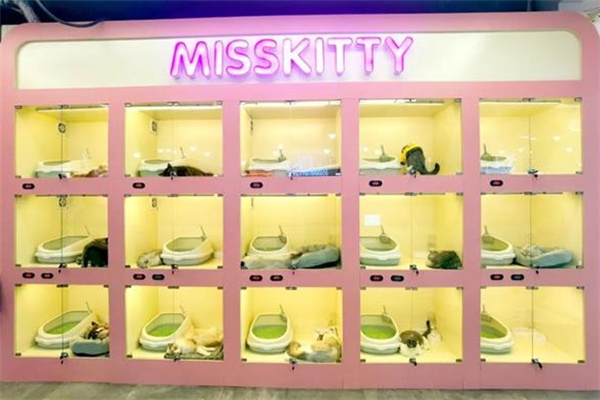 misskitty猫咖