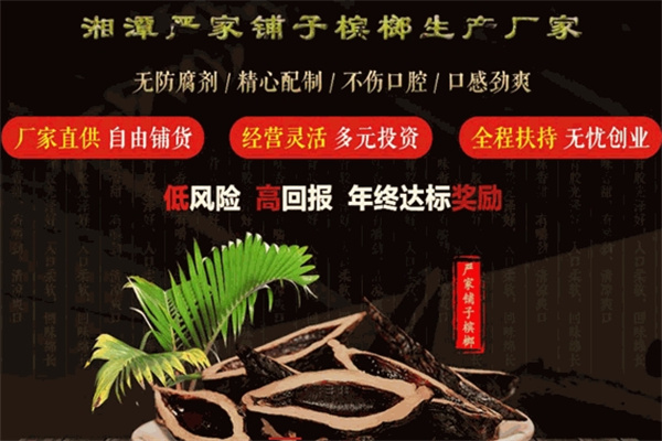 严家铺子