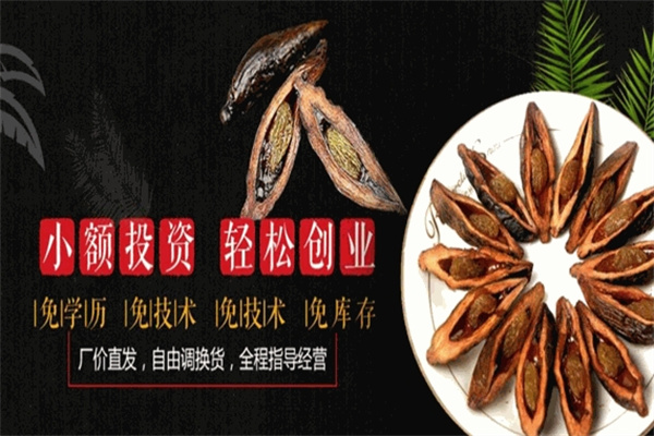 严家铺子