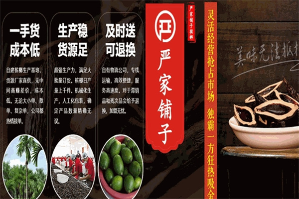 严家铺子