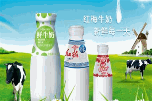 红梅牛奶