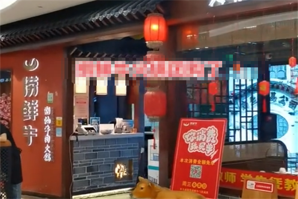 捞鲜牛潮汕牛肉火锅