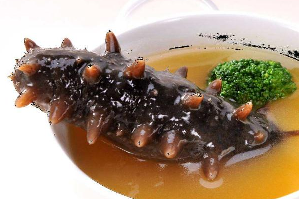 环岛海参 环岛海参