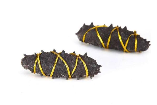 环岛海参 环岛海参