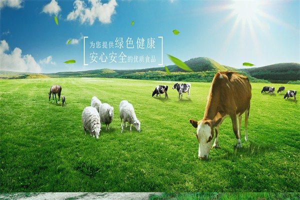 元盛食品