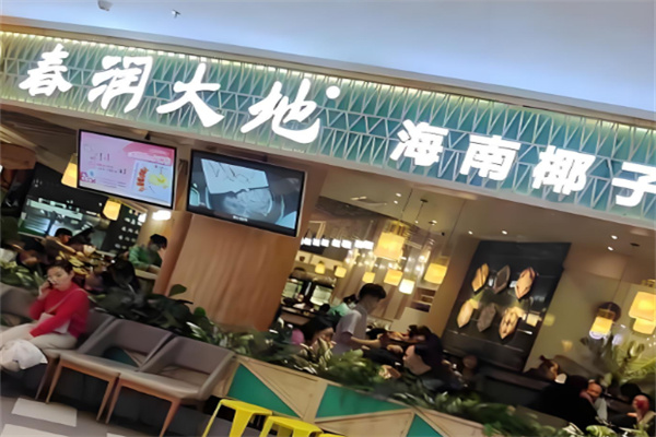 春润大地海南椰子鸡 春润大地海南椰子鸡