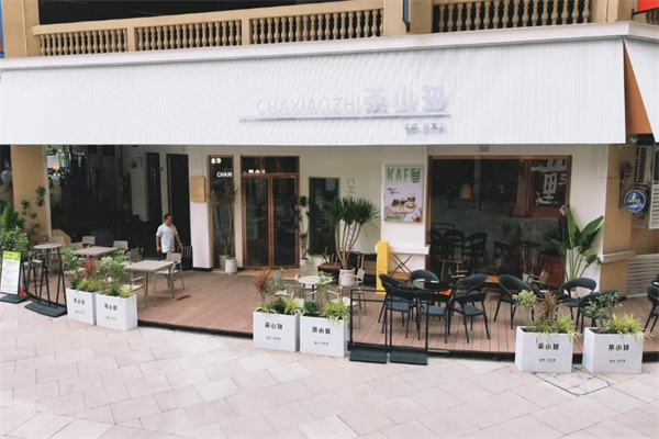 茶小知