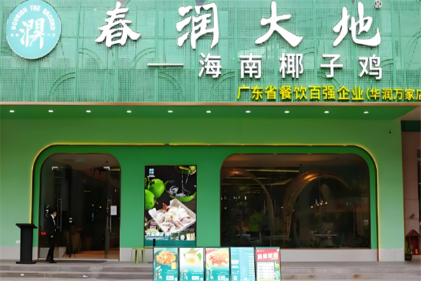 春润大地海南椰子鸡 春润大地海南椰子鸡