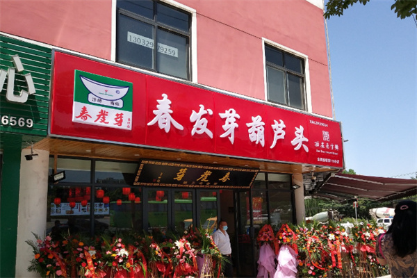 春发芽葫芦头