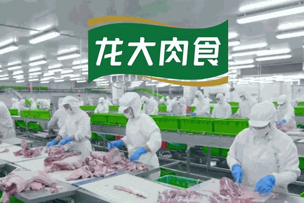 龙大肉食