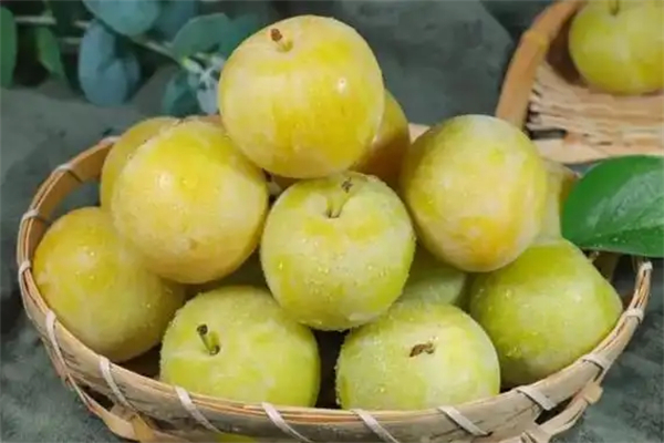 酸先生水果店 酸先生水果店