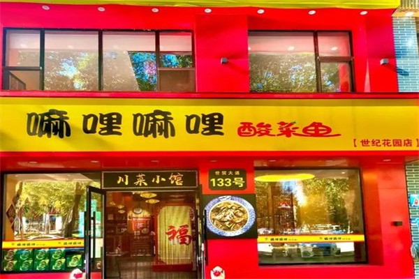 嘛哩嘛哩酸菜鱼
