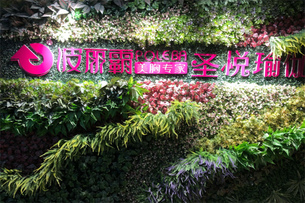 波丽霸美胸专家 波丽霸美胸专家