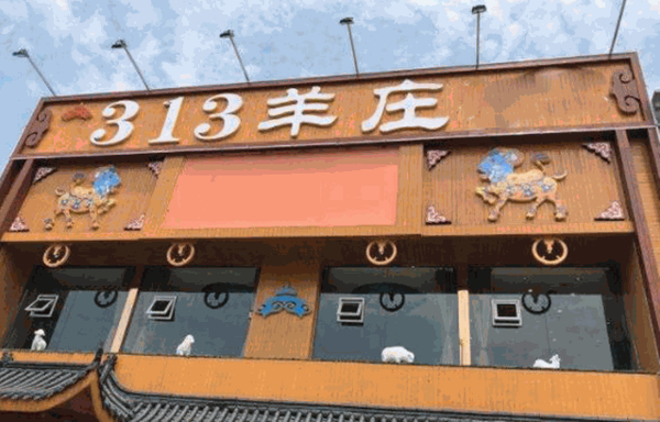 313羊庄加盟