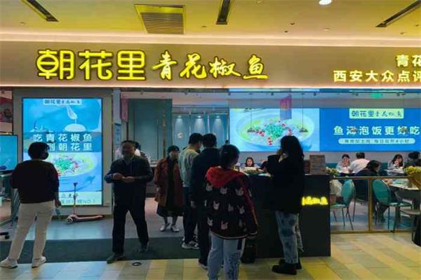 朝花里青花椒鱼加盟条件是什么？加盟餐饮财富自由路！