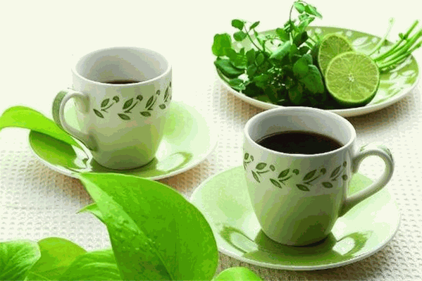 杏林春凉茶加盟