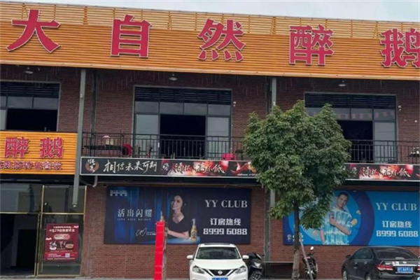 大自然醉鹅