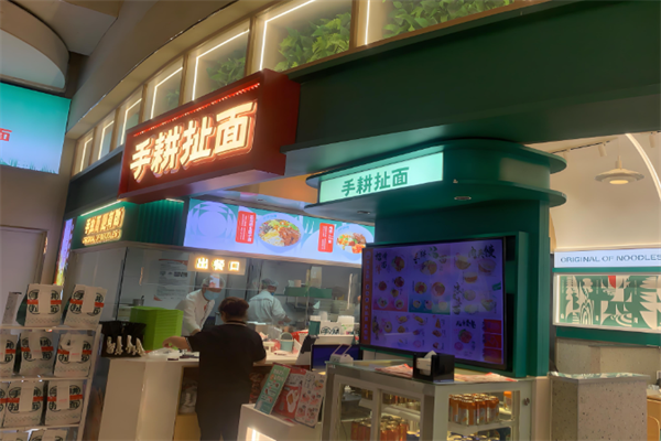手耕陕西扯面