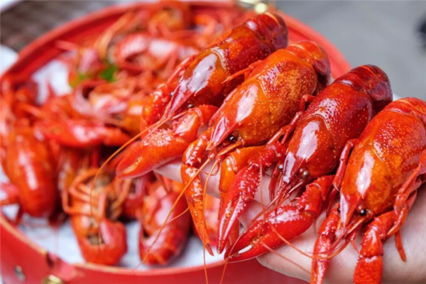 嗨辣小龙虾加盟电话是多少？行动起来，共创辉煌