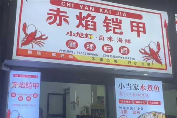 赤焰铠甲小龙虾 赤焰铠甲小龙虾