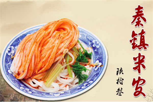 陕拾叁