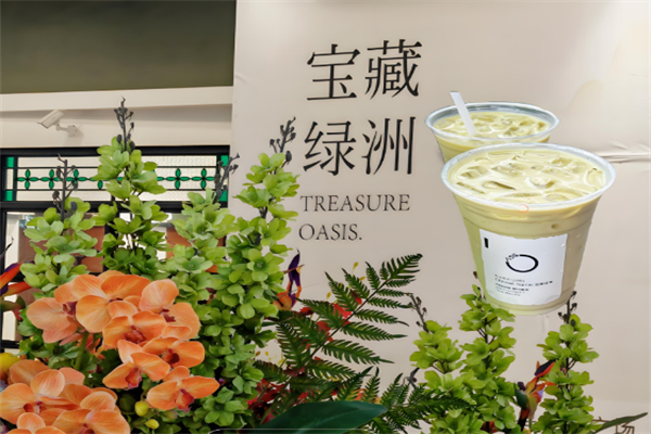 宝藏绿洲OASIS 宝藏绿洲OASIS