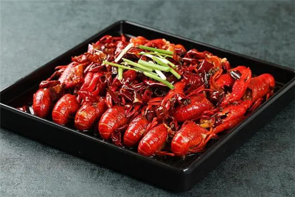 尖叫龙虾 尖叫龙虾