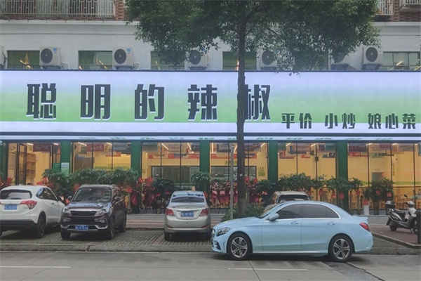 聪明的辣椒 聪明的辣椒