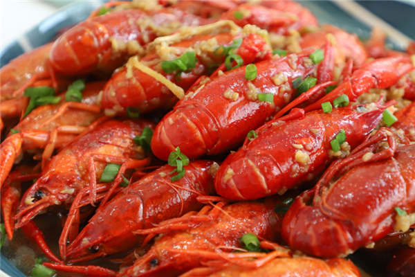 尖叫龙虾 尖叫龙虾