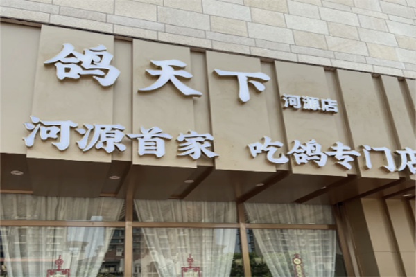 鸽天下 鸽天下