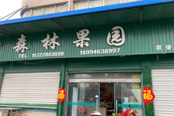 森林果业 森林果业