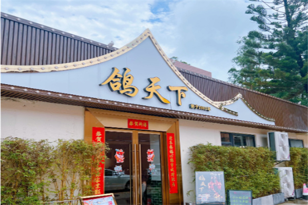 鸽天下 鸽天下