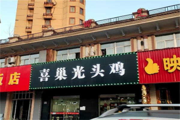 喜巢光头鸡 喜巢光头鸡