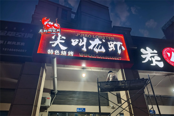 尖叫龙虾 尖叫龙虾