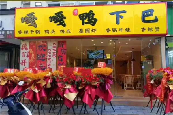 嘎嘎鸭下巴 嘎嘎鸭下巴