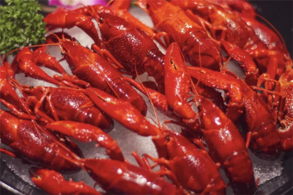 虾搞搞小龙虾 虾搞搞小龙虾