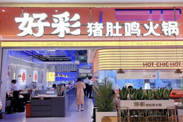 好彩猪肚鸡火锅 好彩猪肚鸡火锅