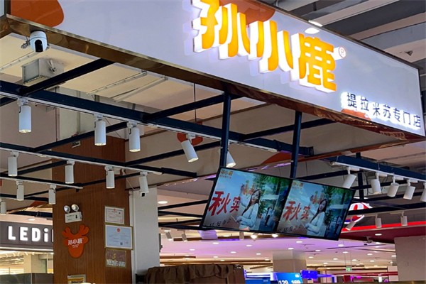 孙小鹿的小春日