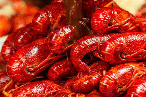 沪小六小龙虾