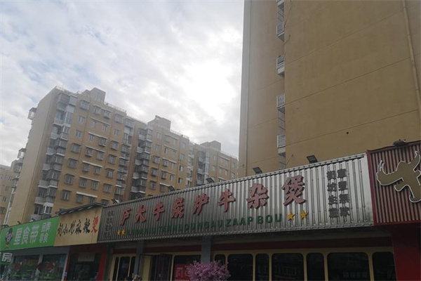 庐大牛炭炉牛杂煲 庐大牛炭炉牛杂煲