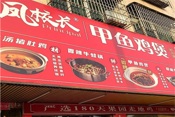 凤校长甲鱼鸡煲 凤校长甲鱼鸡煲