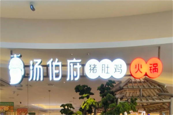 汤伯府·猪肚鸡火锅