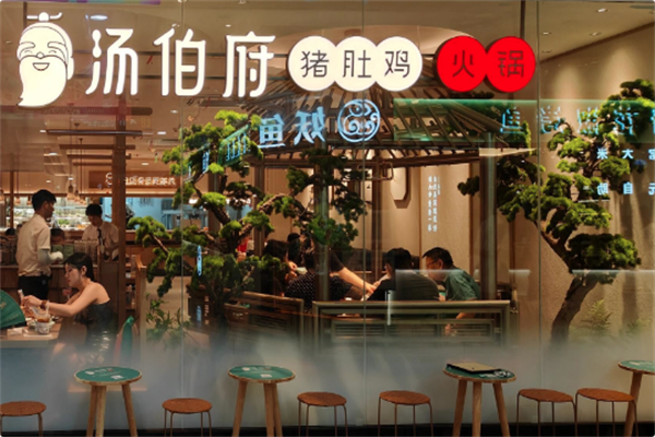 汤伯府·猪肚鸡火锅