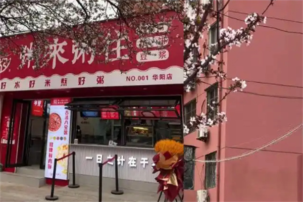 粥来粥往