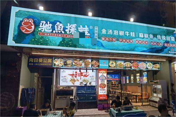 馳魚探蛙 馳魚探蛙