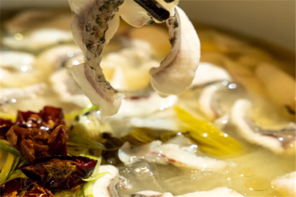 官小渔村酸菜鱼 官小渔村酸菜鱼